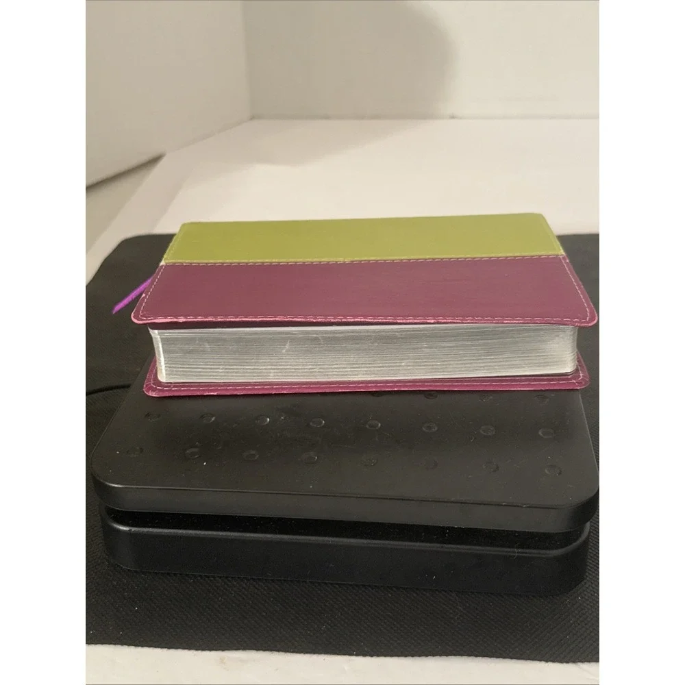 2006 NIV New International Version Holy Bible‎ Lime Green & Maroon-Red Lettering